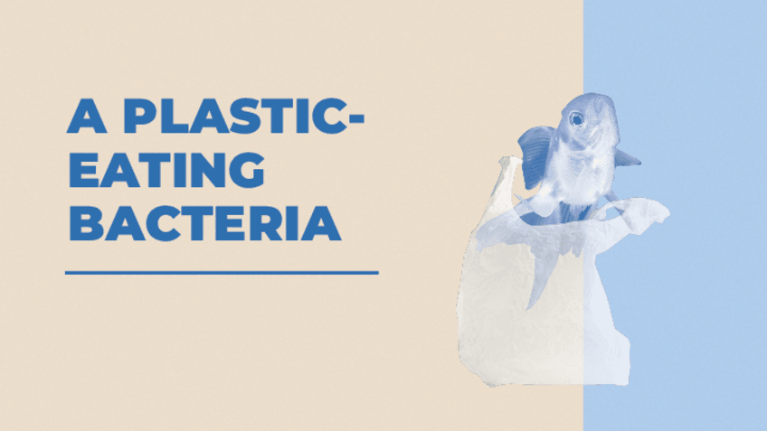 Miniatura del documento English-presentation-Batchillerato.pptx.pdf