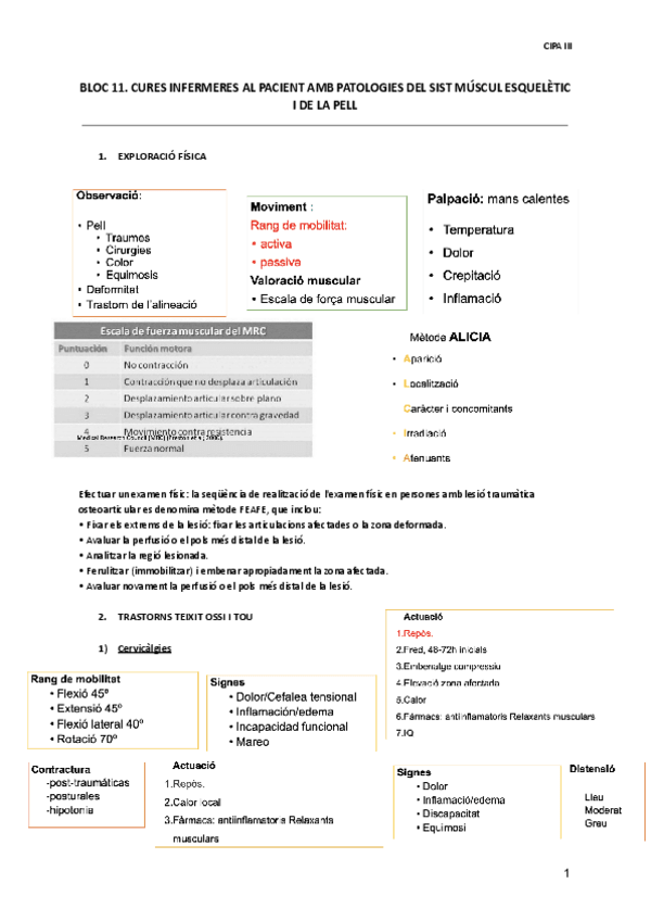 Miniatura del documento 11.-Problemes-musculo-esqueletics.pdf