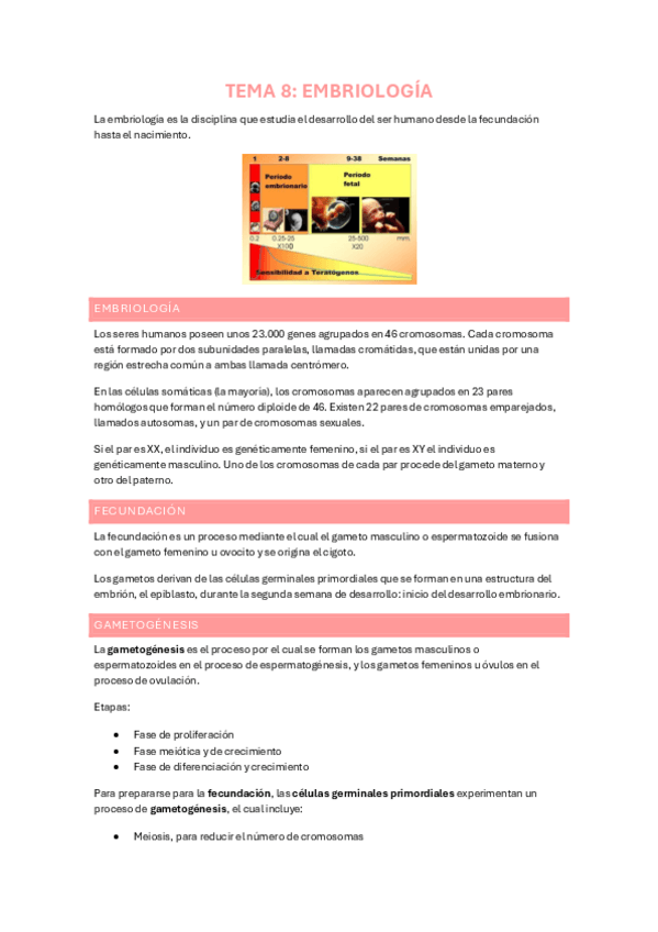 Miniatura del documento TEMA-8-SEXUAL-EMBRIOLOGIA.pdf