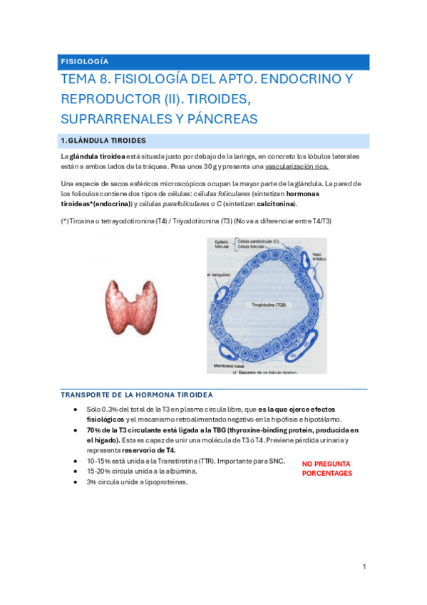Miniatura del documento TEMA-8-PARTE-II-FISIO.pdf