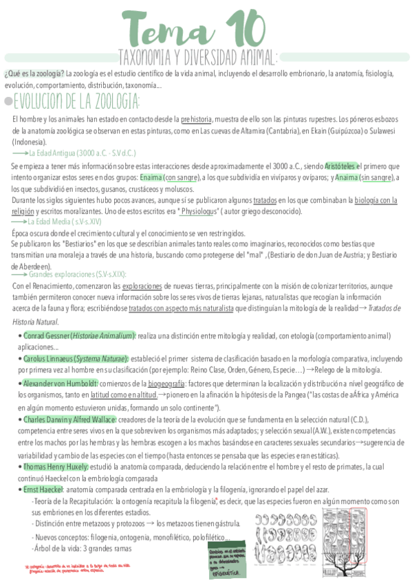 Miniatura del documento Tema-1.pdf