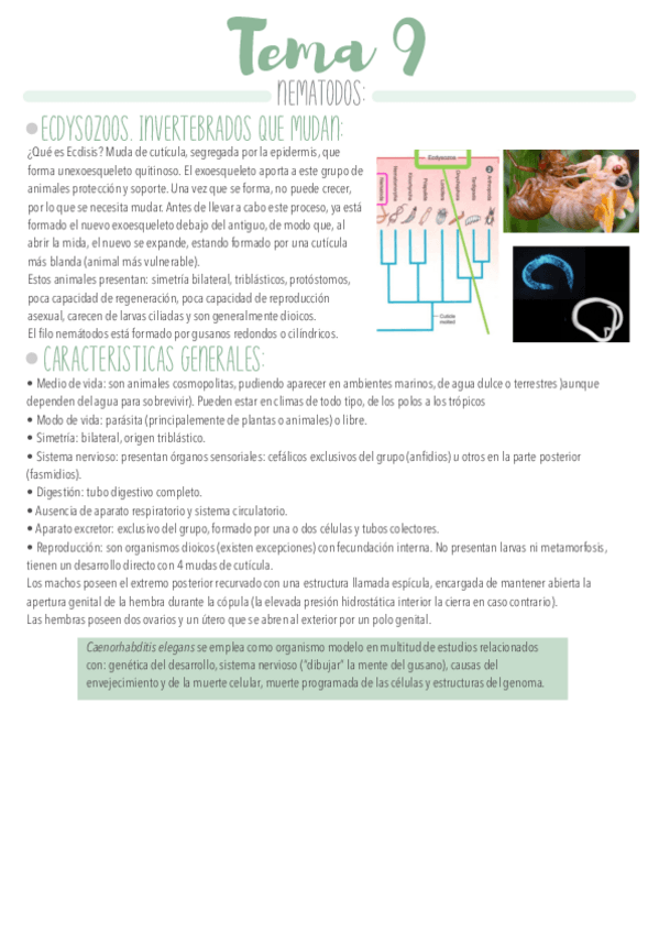 Miniatura del documento Tema-9.pdf