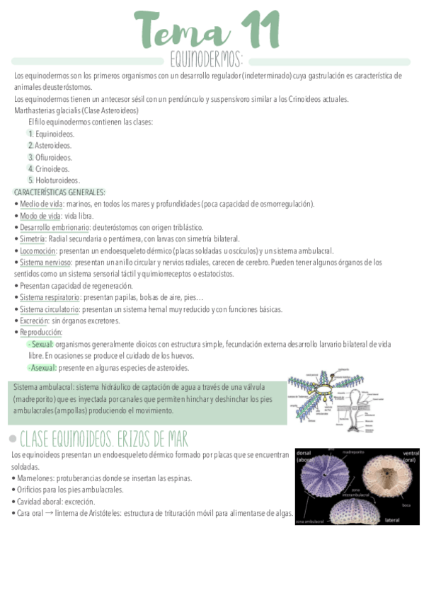 Miniatura del documento Tema-11.pdf