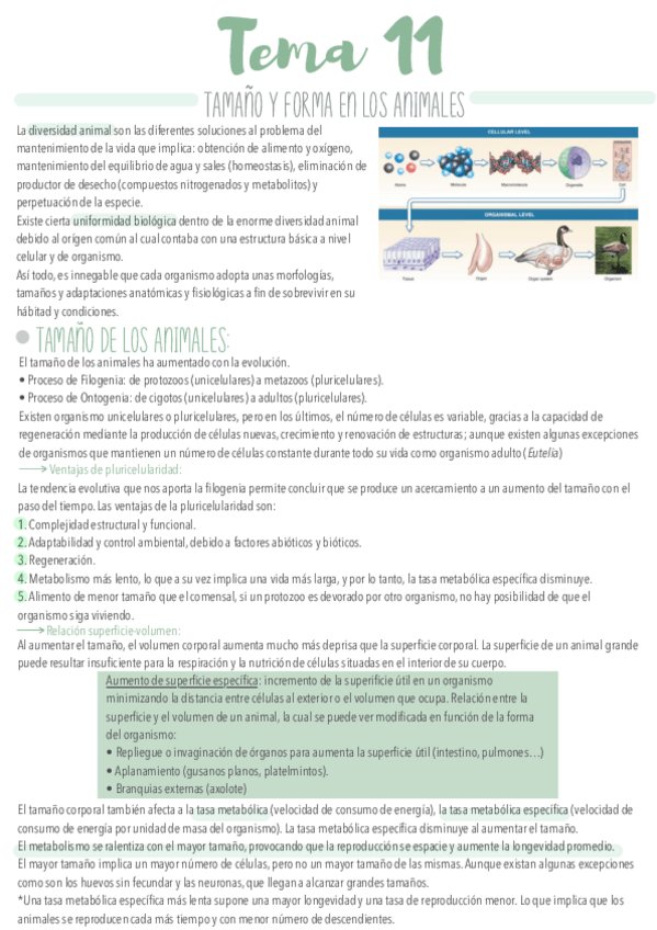 Miniatura del documento Tema-2.pdf