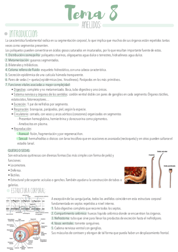 Miniatura del documento Tema-8.pdf