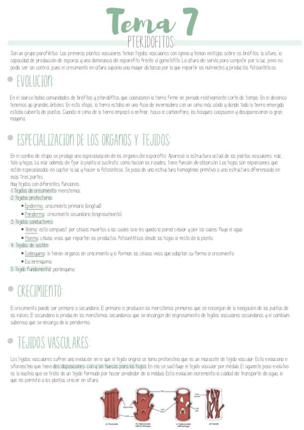 Miniatura del documento TEMA-7.pdf