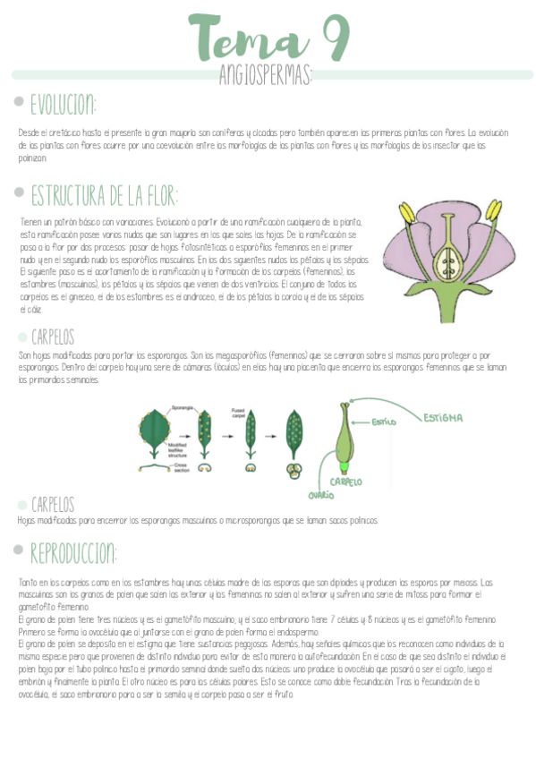 Miniatura del documento TEMA-9.pdf
