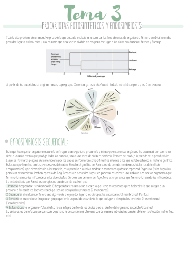 Miniatura del documento TEMA-3.pdf