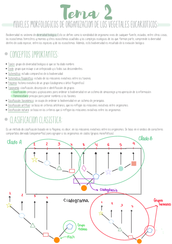 Miniatura del documento TEMA-2.pdf