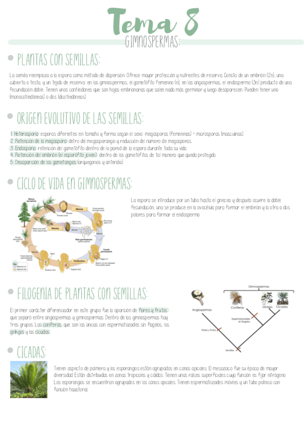 Miniatura del documento TEMA-8.pdf