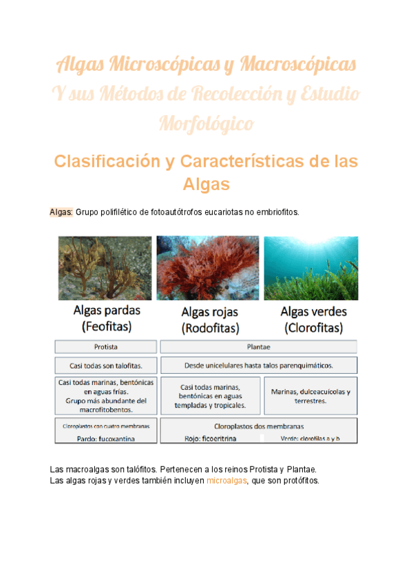 Miniatura del documento Tema-7-Algas-microscopicas-y-macroscopicas.pdf