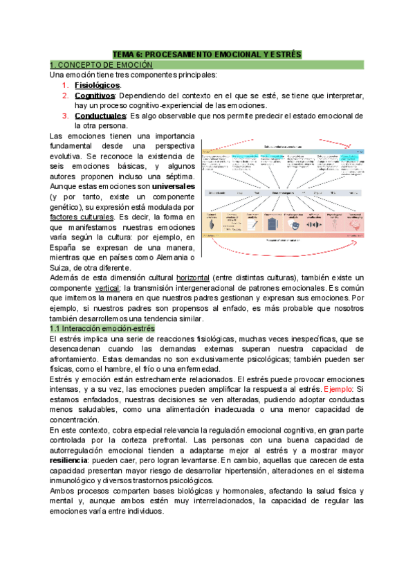 Miniatura del documento TEMA-6-PROCESAMIENTO-EMOCIONAL-Y-ESTRES.pdf