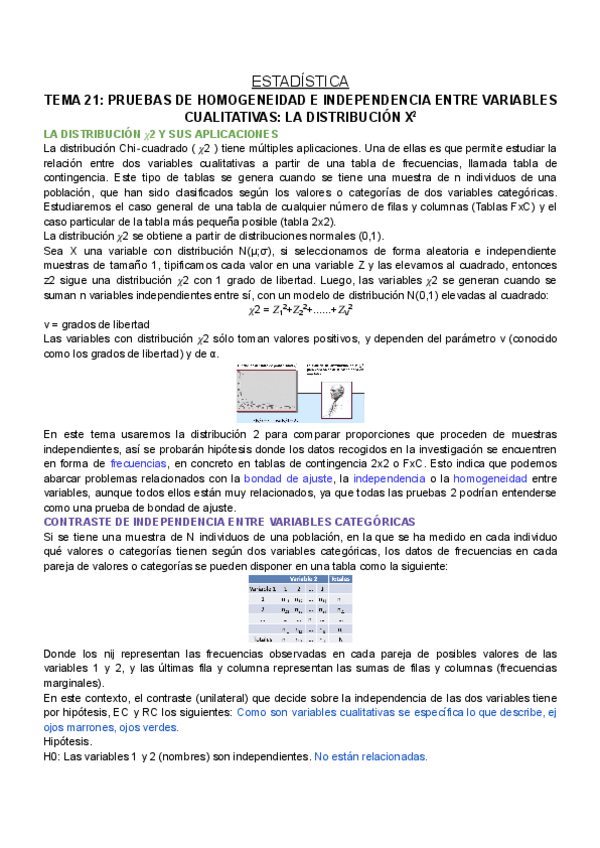Miniatura del documento ESTADISTICA-T21.pdf