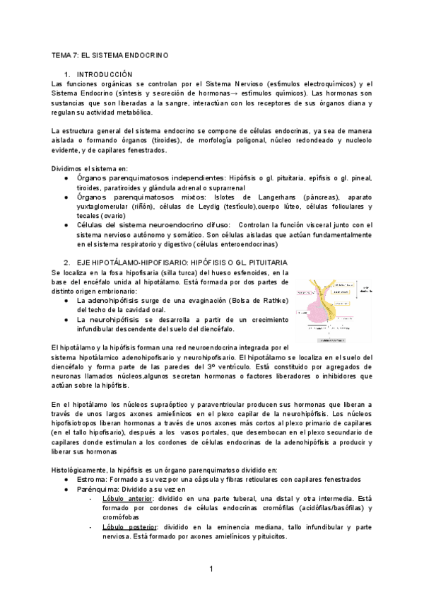 Miniatura del documento TEMA-7-EL-SISTEMA-ENDOCRINO.pdf