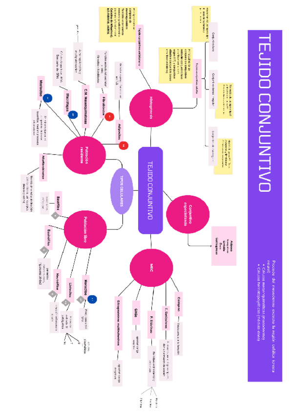 Miniatura del documento conjuntivo.pdf