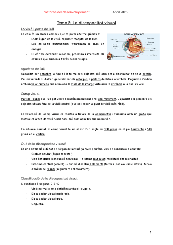 Miniatura del documento Tema-5-La-discapacitat-visual.pdf