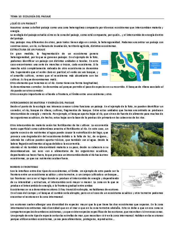 Miniatura del documento TEMA-10-ECOLOGIA-DEL-PAISAJE.pdf