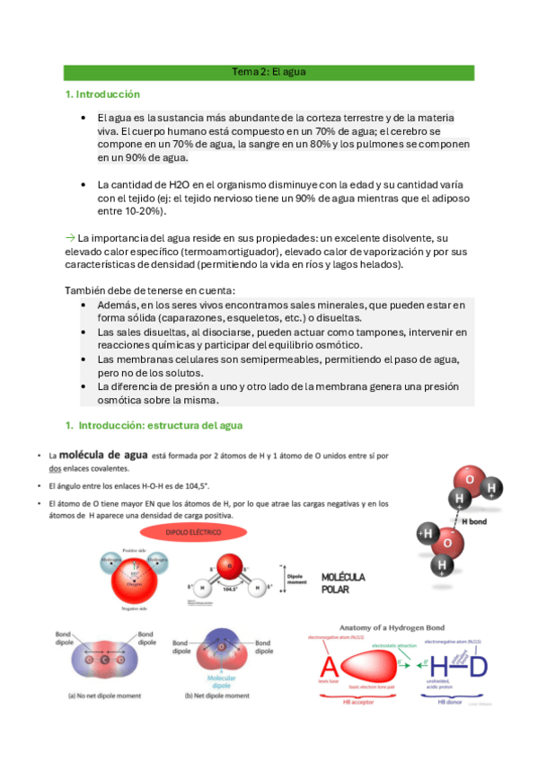 Miniatura del documento T.2-bioquimica.pdf