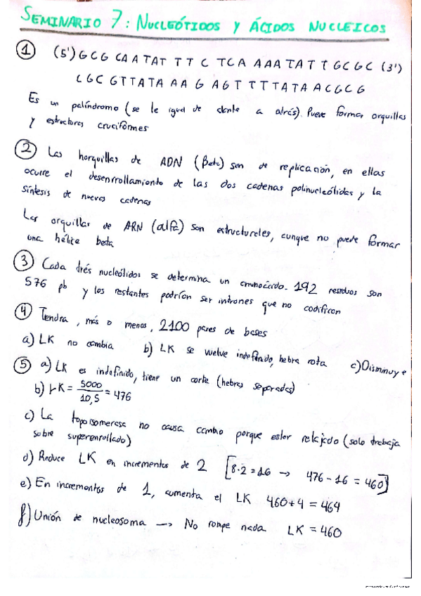 Miniatura del documento Seminario-7-nucleotidod-y-acidos-nucleicos.pdf