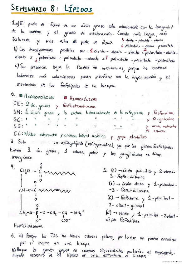 Miniatura del documento Seminario-8-lipidos.pdf