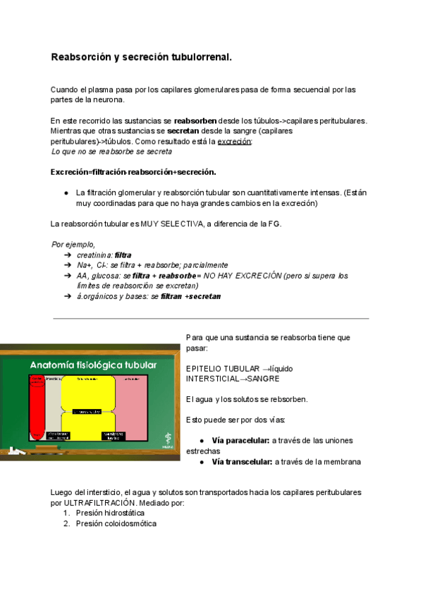 Miniatura del documento fisiologia-renal-EXPLICACIONES.pdf