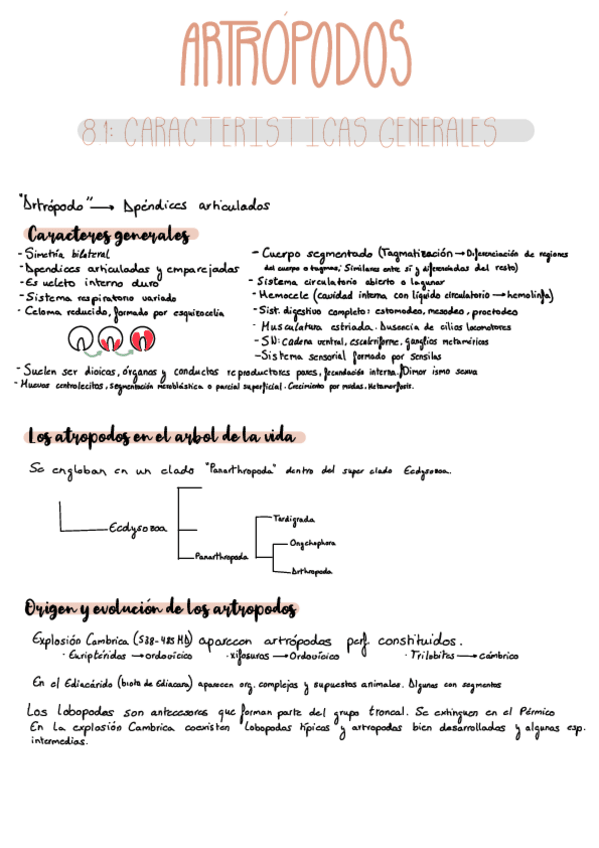 Miniatura del documento Apuntes-tema-8 (Bloque 2).pdf
