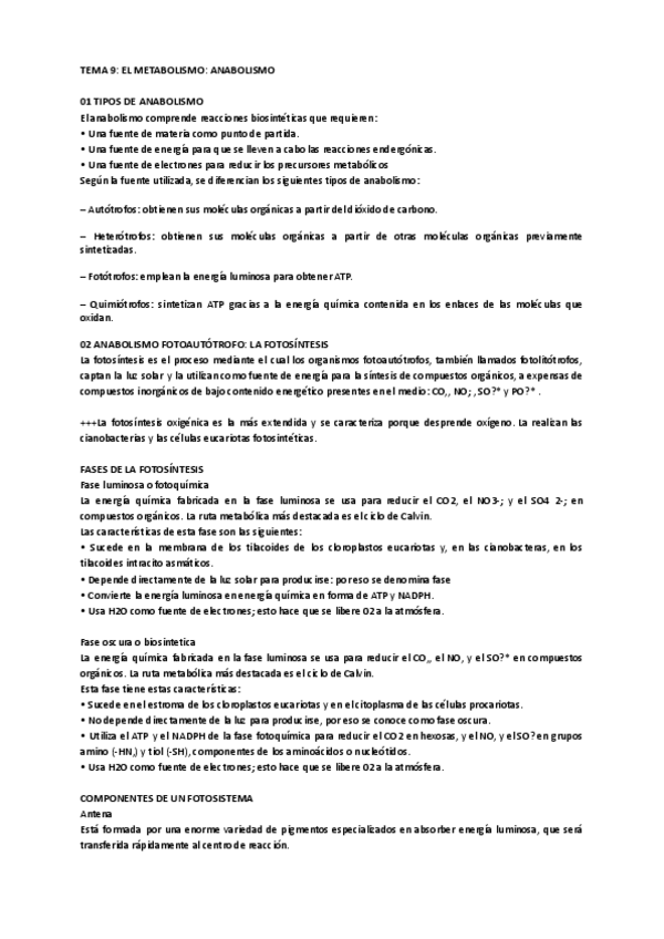 Miniatura del documento ANABOLISMO.pdf