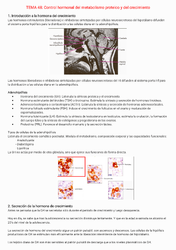 Miniatura del documento Tema-48.pdf