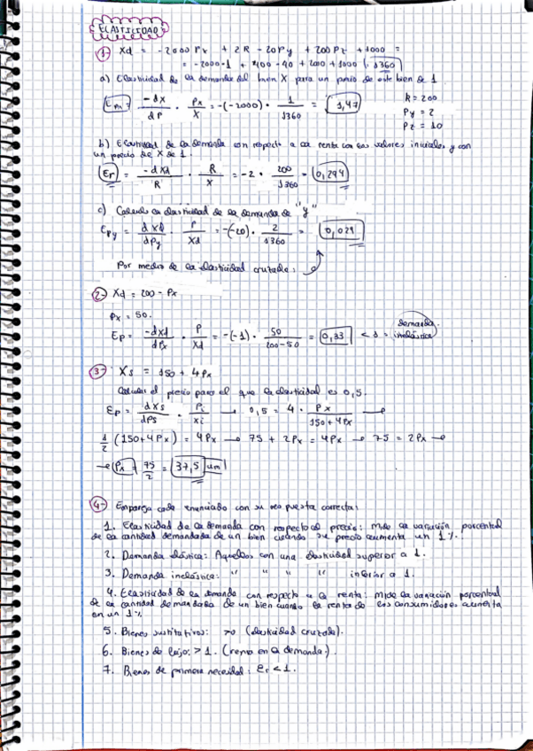 Miniatura del documento DEI_EJCS_T2_SEMINARIO_II_ELASTICIDAD.pdf