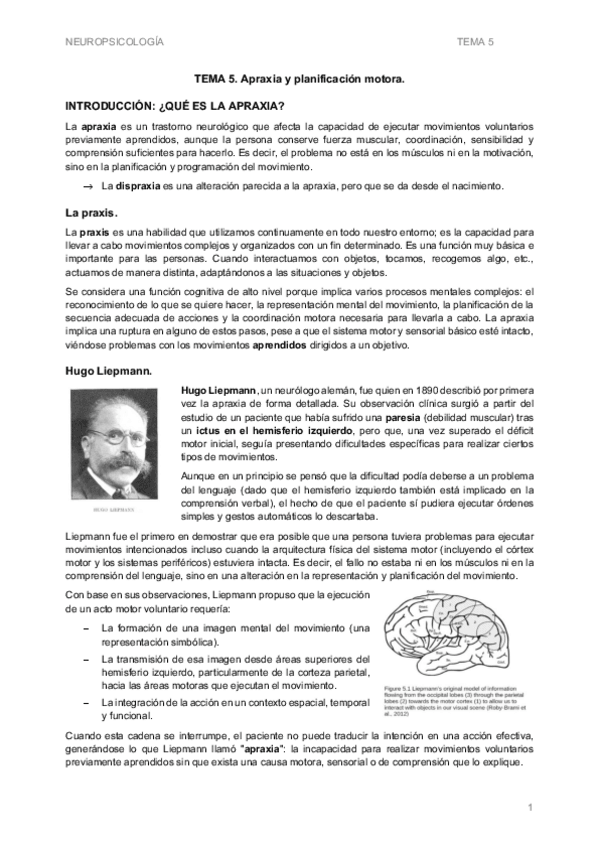 Miniatura del documento NeuropsicolgiaT5.pdf