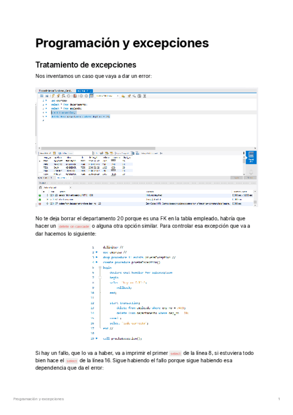Miniatura del documento Programacion-y-excepciones.pdf