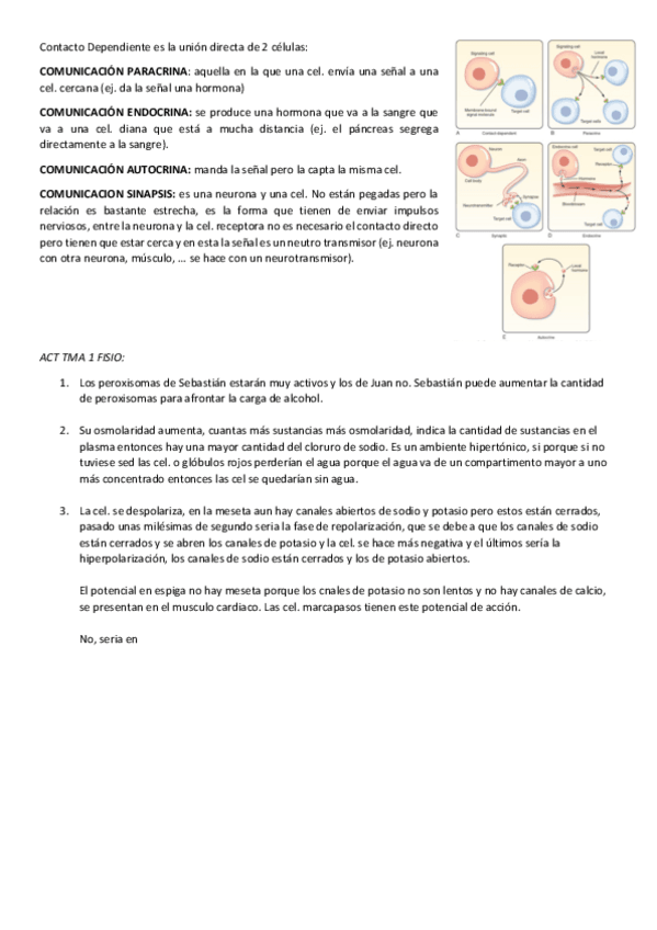 Miniatura del documento TMA-2-fisio.pdf