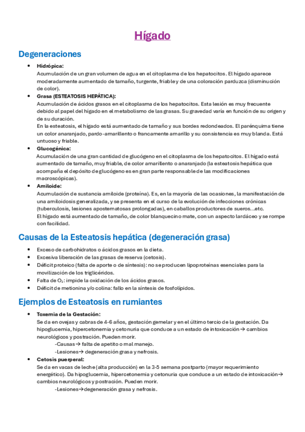 Miniatura del documento Preguntas-Largas-2o-Parcial.pdf