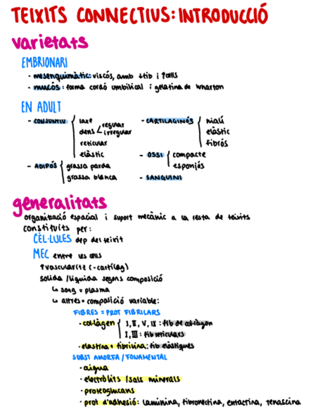 Miniatura del documento T3-histo-Connectius-intro.pdf