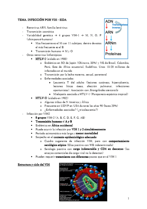 Miniatura del documento TEMA-VIH.pdf