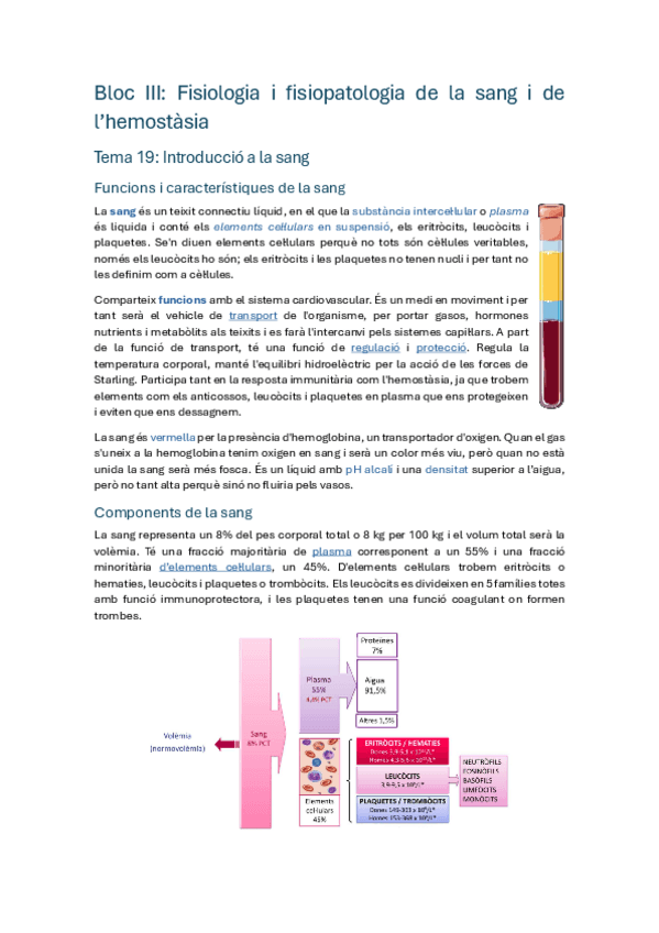 Miniatura del documento BLOC-SANG-CLASSE-BRUTALS.pdf