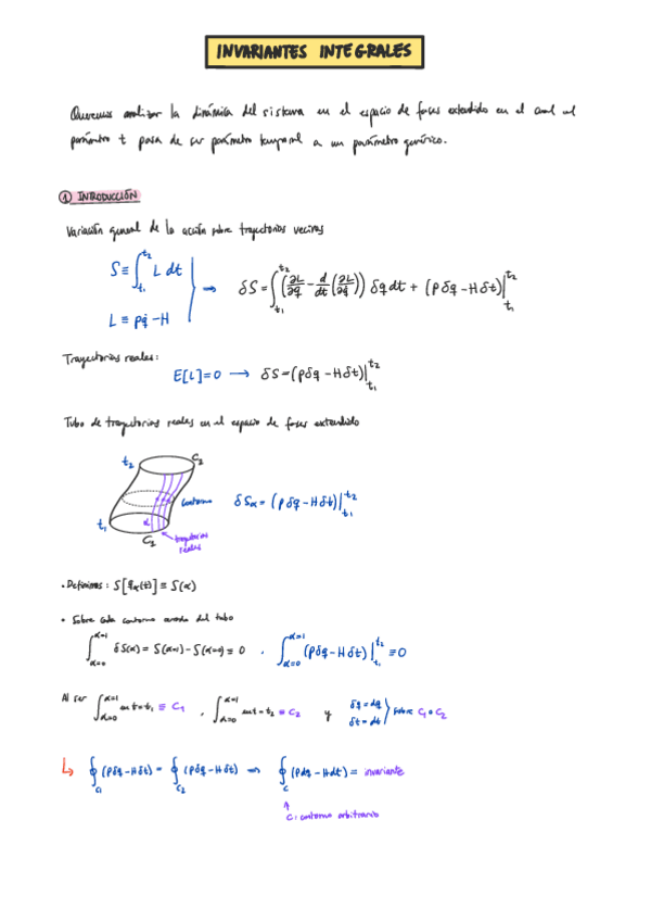 Miniatura del documento 7-Invariantes-integrales.pdf