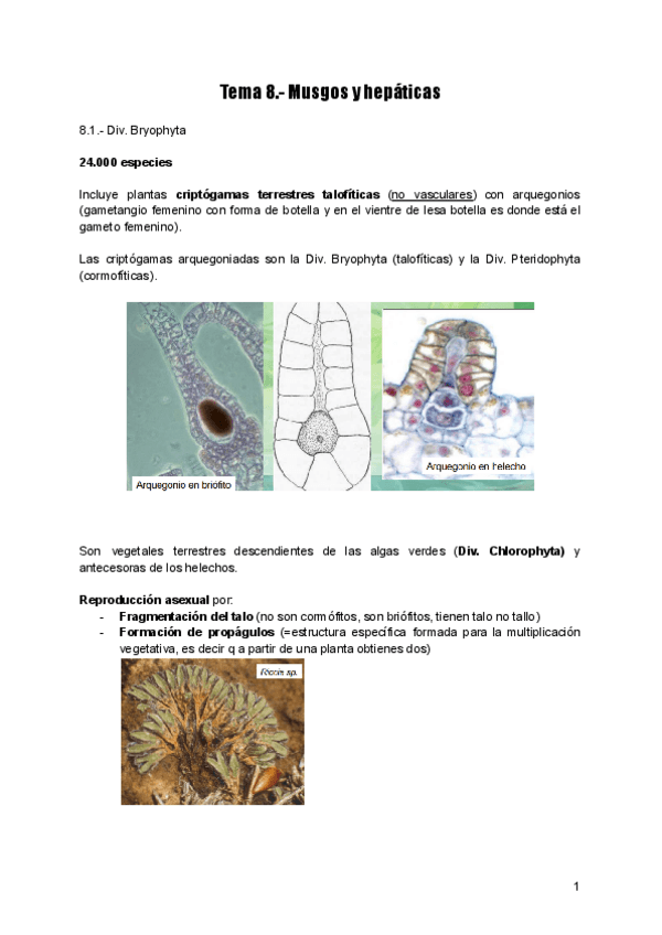 Miniatura del documento T8.pdf