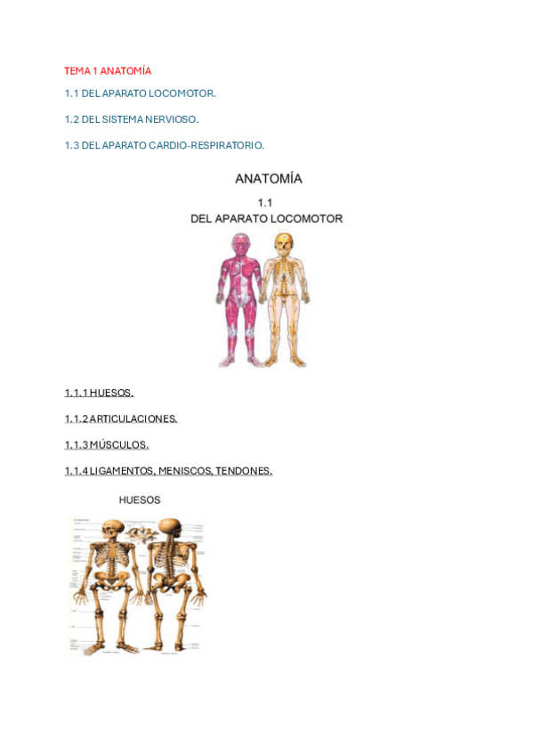 Miniatura del documento APUNTES-MOTRICIDAD-2025.pdf
