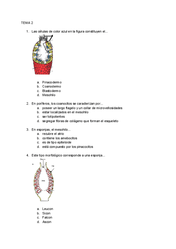 Miniatura del documento Preguntas-test-parte-1-no-artropodos (wooclap).pdf