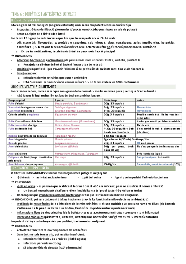 Miniatura del documento Fitoterapia-Tema-6.1-Diuretics-i-antiseptics-urinaris.pdf