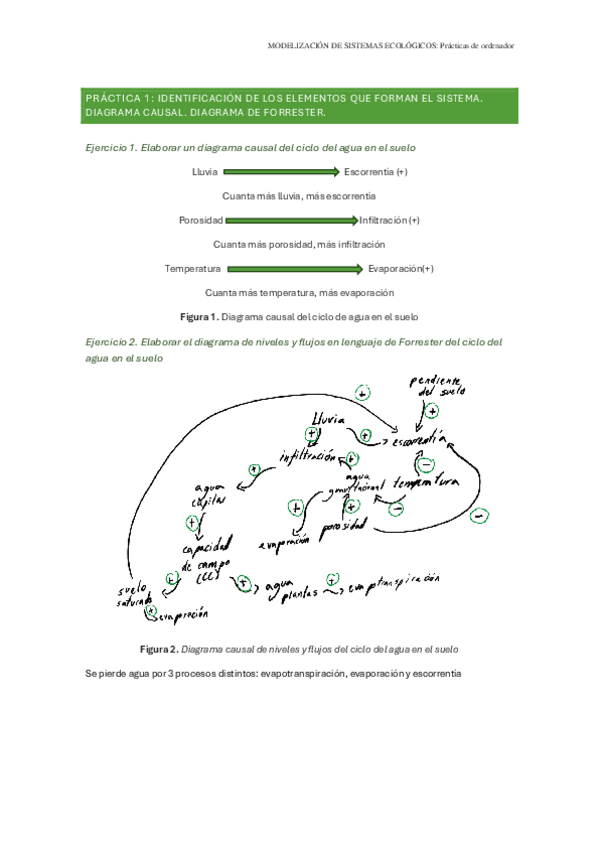 Miniatura del documento Informe-modeli-todas-las-practicas.pdf