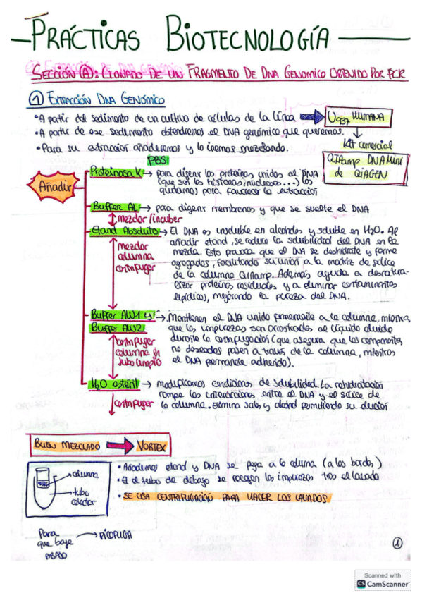 Miniatura del documento APUNTES-PRACTICAS BIOTECNOLOGÍA 2025.pdf