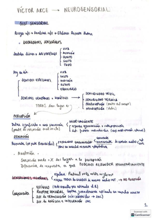 Miniatura del documento Apuntes-Sensorial-Arce.pdf