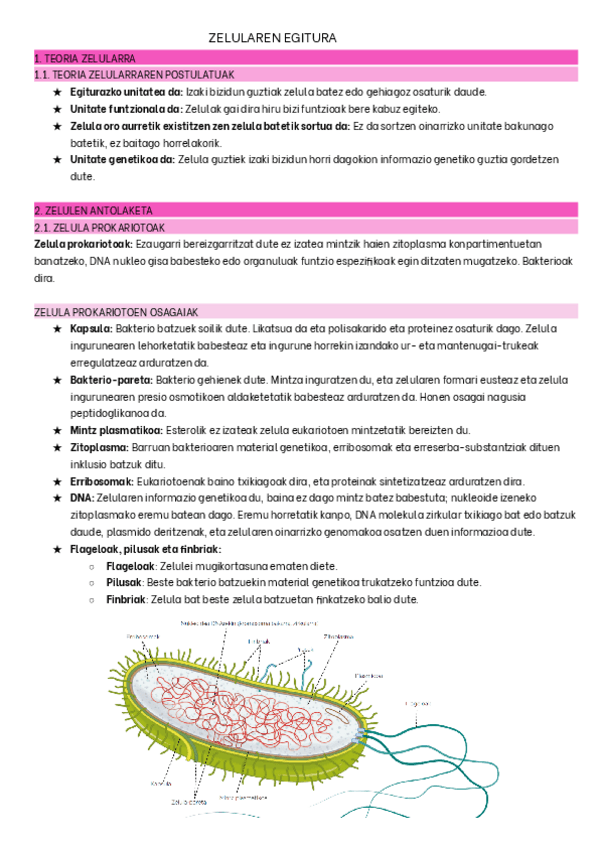 Miniatura del documento SELEKTI-6-ZELULAREN-EGITURA.pdf