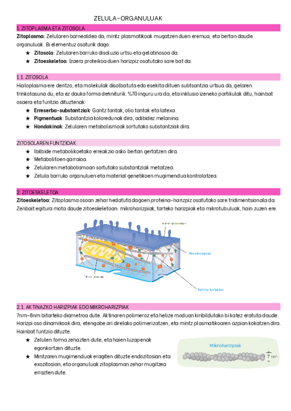 Miniatura del documento SELEKTI-7-ORGANULUAK.pdf
