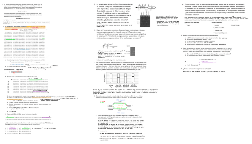 Miniatura del documento SOLUCIONES-EJERCICIOS-TEMA-4-Y-PCR.pdf