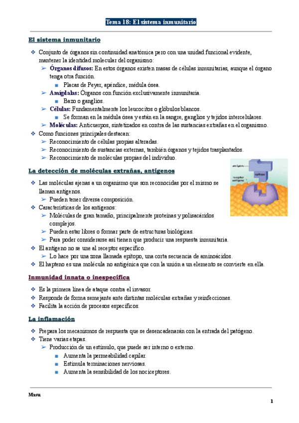 Miniatura del documento Tema-18-El-sistema-inmunitario.pdf