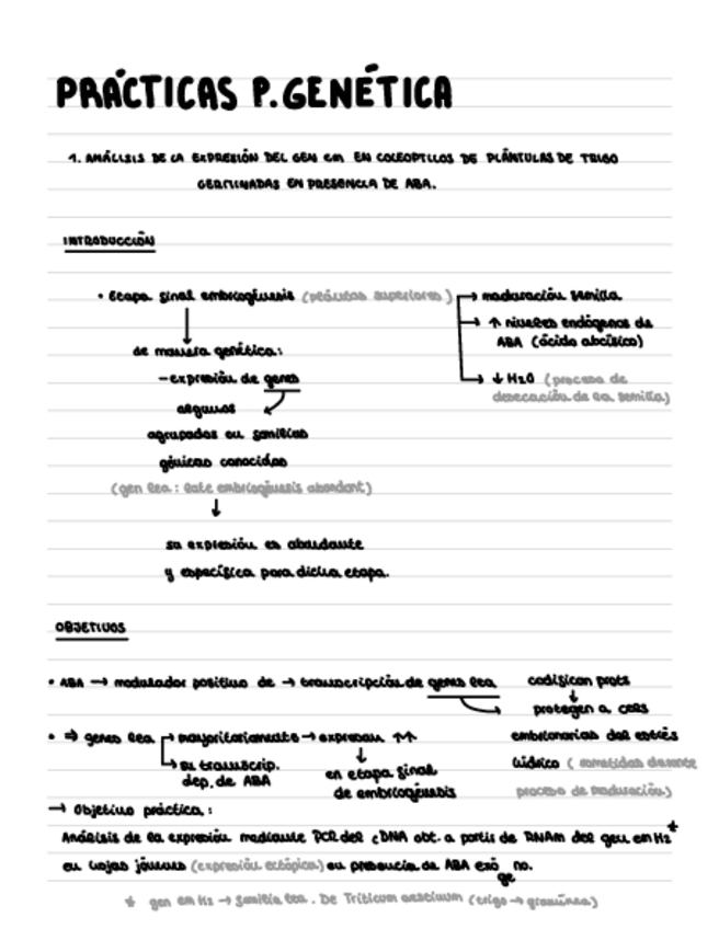 Miniatura del documento Practicas.-Parte-Genetica.pdf