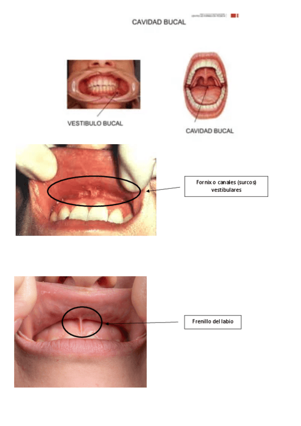 Miniatura del documento tema-9.pdf